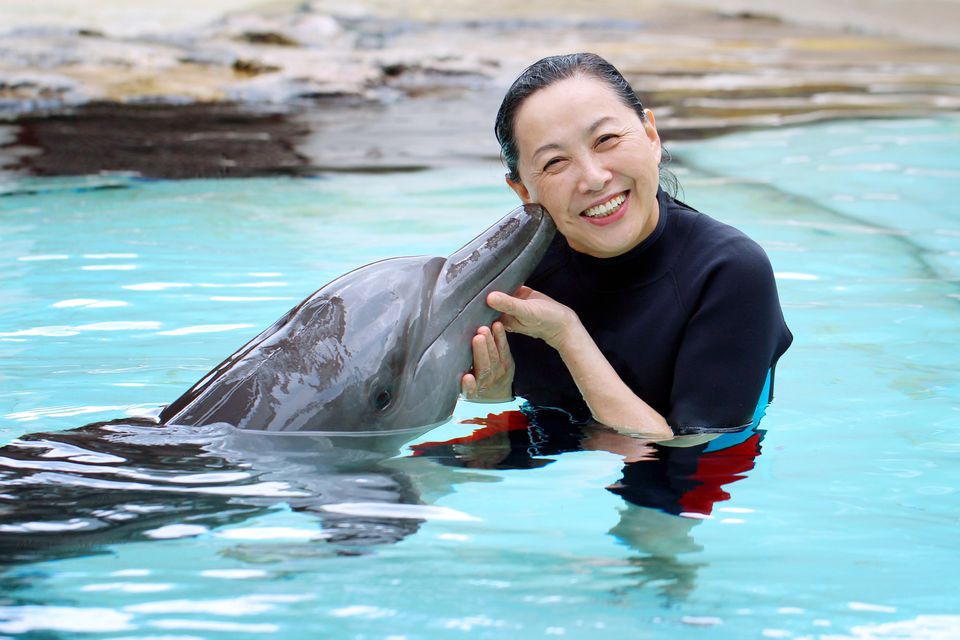candid-hd amazing dolphin encounter